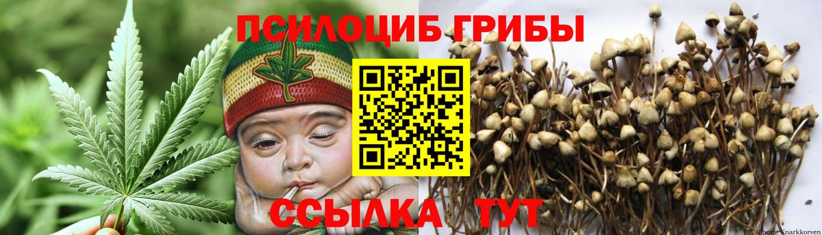 Аксай  Галлюциногенные грибы мухоморы  Вход с VPN  Галлюциногенные грибы Magic Shrooms 