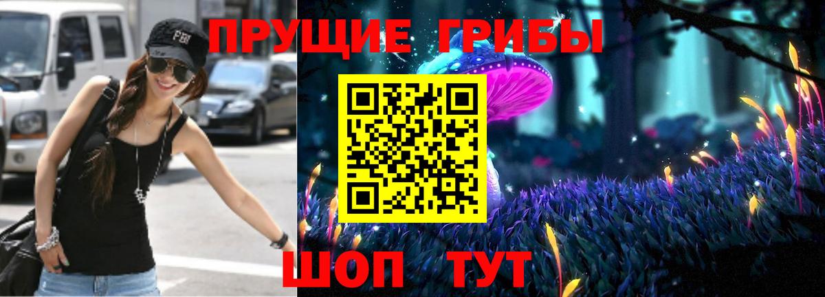 Галлюциногенные грибы Psilocybine cubensis Аксай